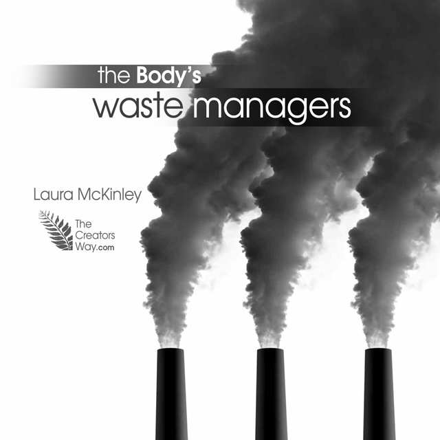The Body's Waste Managers - DVD